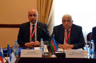 Наблюдатели от МПА СНГ определили программу работы на  президентских выборах в Беларуси