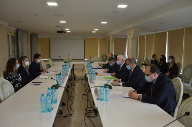 Встреча с миссией БДИПЧ ОБСЕ_Молдова_31.10.2020
