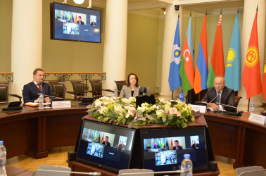 Онлайн-встреча по вопросам подготовки референдума в Кыргызской Республике, 29.03.2021