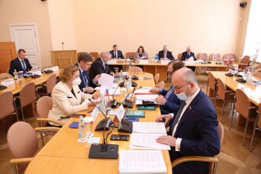 Заседание ПК по изучению опыта государственного строительства и местного самоуправления, 13.05.2021