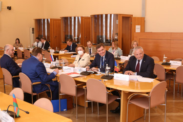 Заседание ПК по изучению опыта государственного строительства и местного самоуправления, 13.05.2021