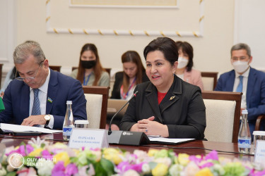 Встреча Председателя палаты Танзилы Нарбаевой с Председателем Сената Парламента Республики Казахстан Мауленом Ашимбаевым
