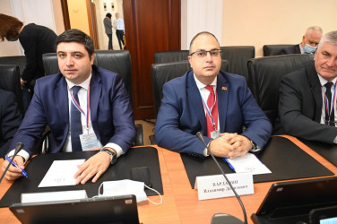 Международные наблюдатели провели встречу в верхней палате российского парламента