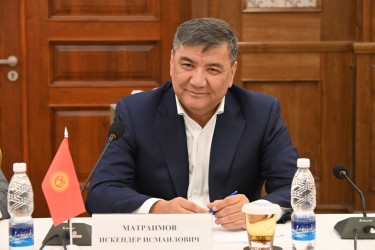 Наблюдатели от МПА СНГ приступили к краткосрочному мониторингу парламентских выборов в Кыргызской Республике
