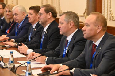 Встреча наблюдателей в Палате представителей. Минск. 26 февраля