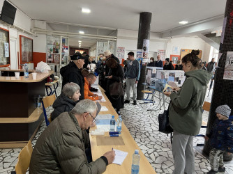 Мониторинг голосования на президентских и парламентских выборах в Сербии. 3 апреля 2022 
