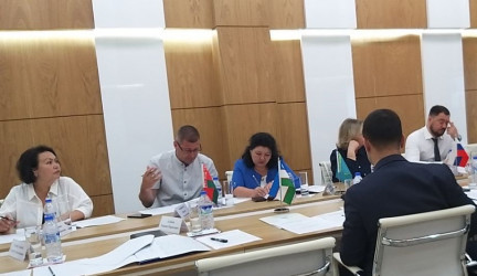 Заседание Рабочей группы по актуализации Концепции формирования общего рынка труда СНГ. Ташкент, 7 июля 2022