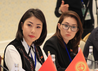 Молодые парламентария стран Содружества обсудили проблемы «молодежи NEET»