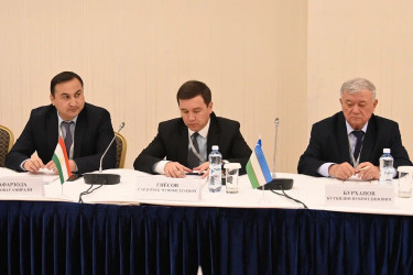 Мониторинговая группа МПА СНГ наметила план работы на президентских выборах в Казахстане