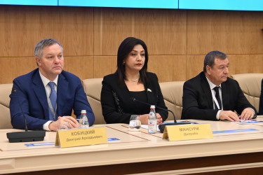 Наблюдатели от СНГ: выборы Президента Казахстана были открытыми и прозрачными