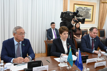 Наблюдатели от МПА СНГ встретились с руководством Сената Парламента Казахстана