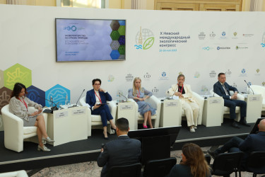 Круглые столы прошли во второй день Х Невского международного экологического конгресса. 26 мая 2023