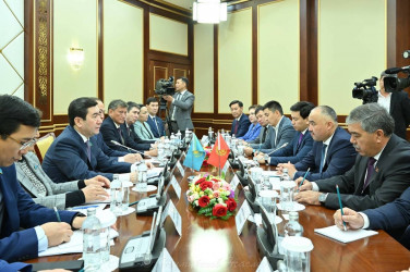 Вопросы казахско-кыргызского сотрудничества обсудили Ерлан Кошанов и Нурланбек Шакиев 