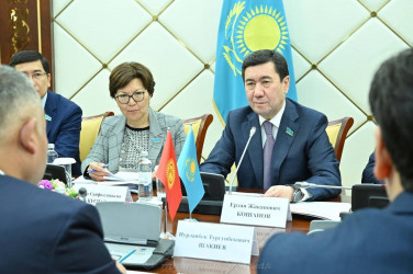 Вопросы казахско-кыргызского сотрудничества обсудили Ерлан Кошанов и Нурланбек Шакиев 