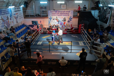 В Санкт-Петербурге прошел благотворительный турнир по кикбоксингу 