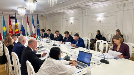 Заседание Совета по делам молодежи государств-участников стран СНГ