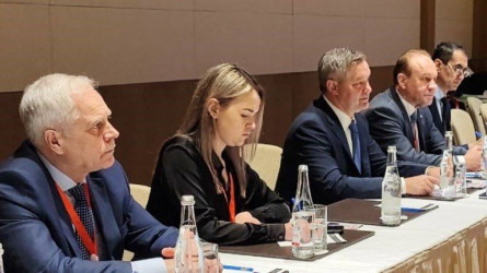 Наблюдатели от МПА СНГ провели встречи в штабах кандидатов на выборах Президента Азербайджана