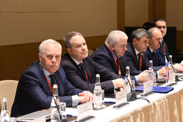 В составе мониторинговой группы МПА СНГ в Азербайджане работают представители шести стран Содружества