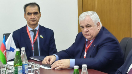 Ход предвыборной борьбы в Азербайджане обсудили наблюдатели МПА СНГ с представителями партий