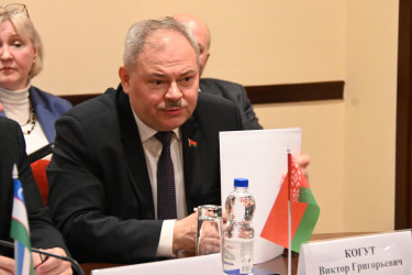 Международные наблюдатели вели мониторинг парламентских выборов на 127 участках в Беларуси