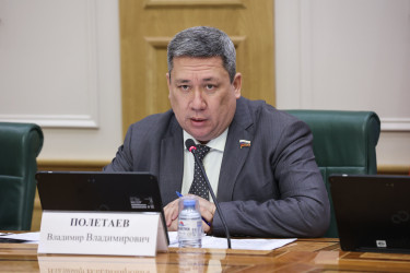 Дмитрий Кобицкий выступил в верхней палате российского парламента
