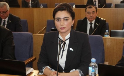 Заместитель Председателя Маджлиси намояндагон Маджлиси Оли Таджикистана Мавсума Муини