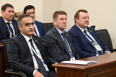 Встреча с ЦИК