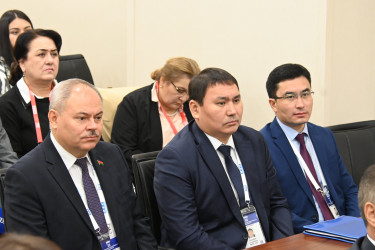 Встреча с ЦИК