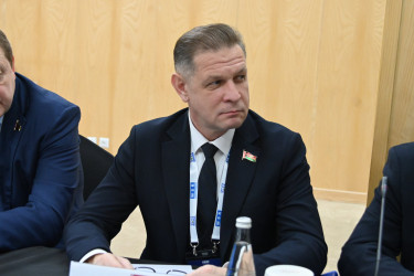 Международные наблюдатели от МПА СНГ провели совещание в Ташкенте