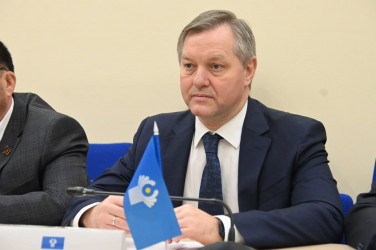 Встреча наблюдателей от МПА СНГ с Юрием Сенько