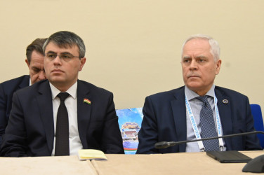Встреча наблюдателей от МПА СНГ с Юрием Сенько