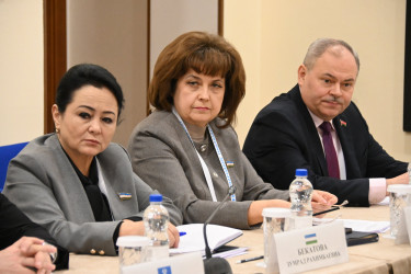 321 участок посетили  наблюдатели от МПА СНГ в ходе мониторинга в Беларуси