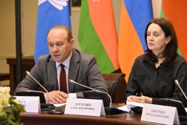 Международные наблюдатели от МПА СНГ встретились с руководством окружных избирательных комиссий Таджикистана