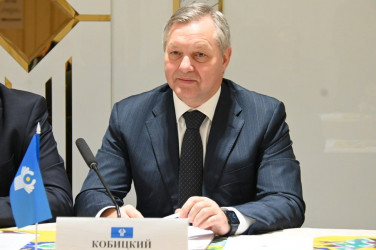 Ход электоральной кампании мониторинговая группа обсудила с партиями, участвующими в выборах в Таджикистане