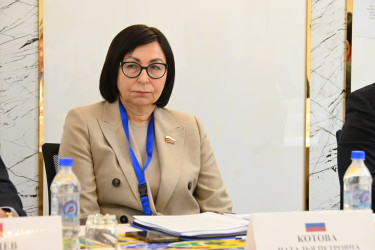 Наблюдатели от Межпарламентской Ассамблеи СНГ ведут мониторинг парламентских выборов в Таджикистане