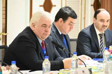 Наблюдатели от Межпарламентской Ассамблеи СНГ ведут мониторинг парламентских выборов в Таджикистане
