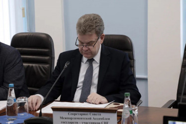 Эксперты стран Содружества обсудили вопросы медицинского страхования трудящихся-мигрантов и членов их семей