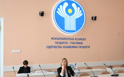 Заседание рабочей группы. 28 марта 2025