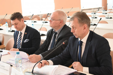 Заседание рабочей группы. 28 марта 2025