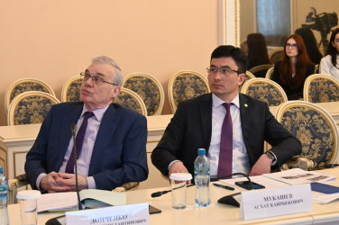 Заседание Экспертного совета по экологии. 28 марта 2025 года