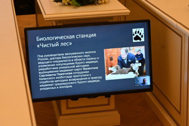 Заседание Экспертного совета по экологии. 28 марта 2025 года