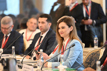 Экотуризм как важная часть экологической повестки: тематический круглый стол прошел в рамках НМЭК 
