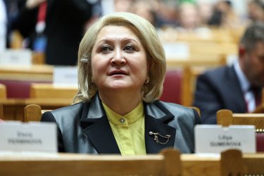 Пленарное заседание XI НМЭК. 23 мая 2025