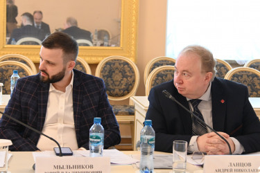 Заседание рабочей группы МПА СНГ по подготовке проекта модельного закона «О трансграничной несостоятельности и банкротстве»