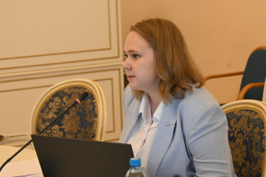 Меценатство и благотворительность, регулирование телевещания: состоялось первое заседание Экспертного совета по культуре при МПА СНГ
