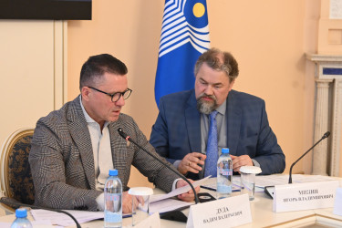 Меценатство и благотворительность, регулирование телевещания: состоялось первое заседание Экспертного совета по культуре при МПА СНГ