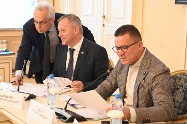 Меценатство и благотворительность, регулирование телевещания: состоялось первое заседание Экспертного совета по культуре при МПА СНГ