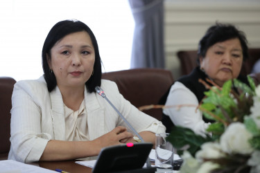 Как развивается парламентаризм: обсудили на круглом столе в Бишкеке