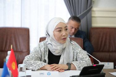 Как развивается парламентаризм: обсудили на круглом столе в Бишкеке