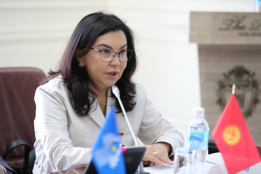 Как развивается парламентаризм: обсудили на круглом столе в Бишкеке